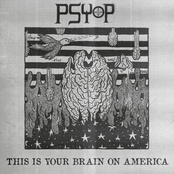 THIS IS YOUR BRAIN ON AMERICA