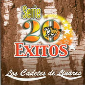 Los Cadetes De Linares: Serie 20 Exitos