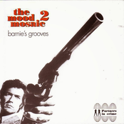 The Mood Mosaic 2: Barnie's Grooves