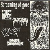 Screaming Of Gore