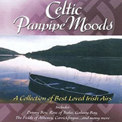 Celtic Panpipe Moods