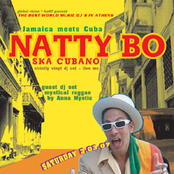 Natty Bo