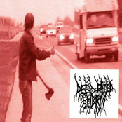 Colico / Deep Fried Embryo