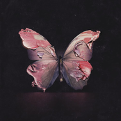 Before You Exit: Silence