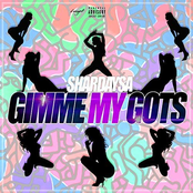 Gimme My Gots - Single