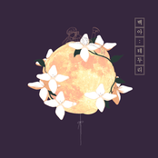 Edge 테두리
