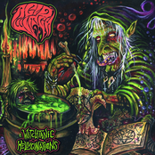 Acid Witch: Witchtanic Hallucinations