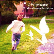 Perlenbacher & Mandariner