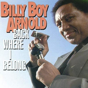 Move On Down The Road by Billy Boy Arnold