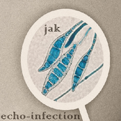 Echo Infection