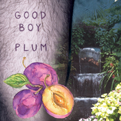 Good Boy: Plum