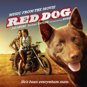 Red Dog