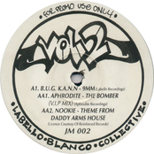 Jungle Massive 4 V's The Hardsteppers DJ Sampler - Vol 2