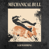 Mechanical Bull