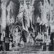 Physicalities Of The Sensibilities Of Ingrediential Strairways