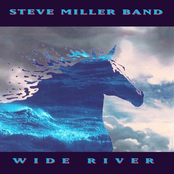 Horse And Rider by Steve Miller Band