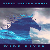 Walks Like A Lady by Steve Miller Band