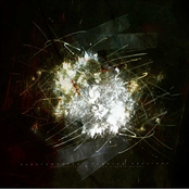 personality disorders in organic matter