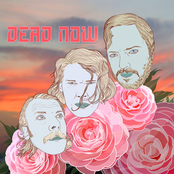 Dead Now: Slow Beam