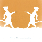 the secret of the secret of the multiple cat