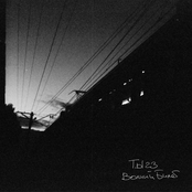 Волчий Билет