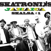 Flight To Ethiopia by Skatroniks Jamaica