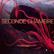 Secret Laws by Seconde Chambre