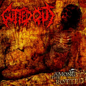 Virulent Rupture by Gutted Out