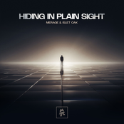 Hiding In Plain Sight