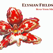 Lie Low by Elysian Fields