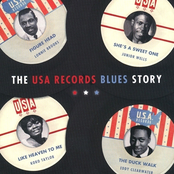 The USA Records Blues Story