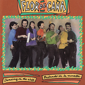 Flor De Cana: Dancing on the Wall