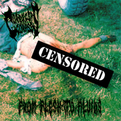 From Flesh To Fluids