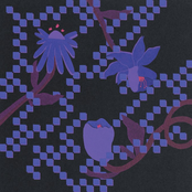 Trace Mountains: into the burning blue