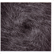 From Death To Passwords