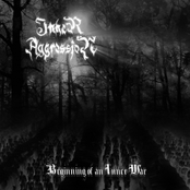 Im Sturm Dieser Tage by Inner Aggression