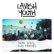 Dead Dogs, Old Friends