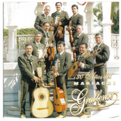 mariachi grullense