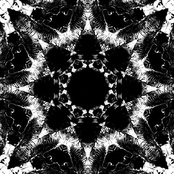 There I Saw The Grey Wolf Gaping