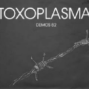 Arschlecker by Toxoplasma