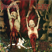 Excruciatingly Euphoric Torment Split