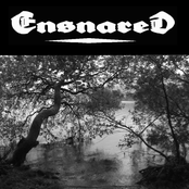 Ensnared Demos