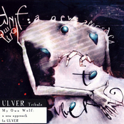 My Own Wolf: A New Approach To Ulver