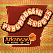 Psychedelic States - Arkansas in the 60s
