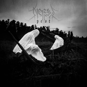 Pest (Dissonant Black Metal)
