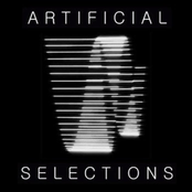 Artificial Selections