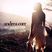 Shame On You (to Keep My Love From Me) by Andrea Corr