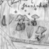 Joaninhas