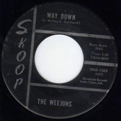 the weejuns