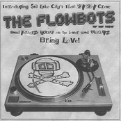 the flowbots